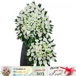 تاج گل مرسانا