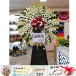 تاج گل فریال