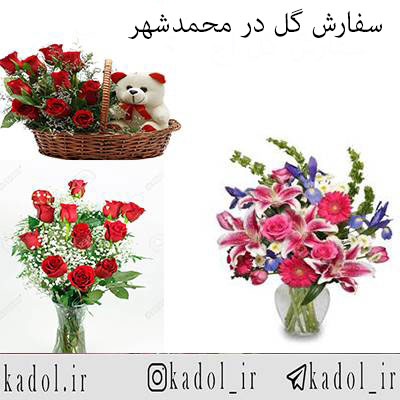 گل فروشی محمدشهر
