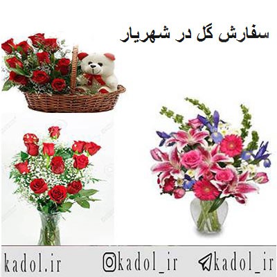 گل فروشی شهریار